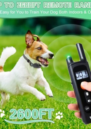 DogTrainingCollar_2